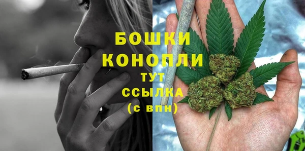 эйфоретик Белокуриха