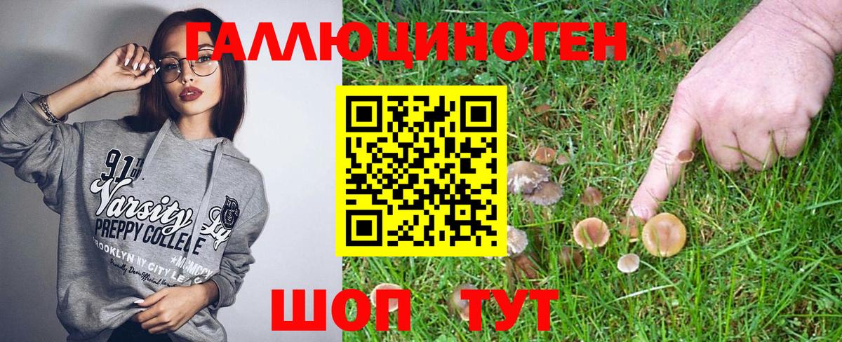 цены   Вход с VPN  Сердобск  Галлюциногенные грибы Psilocybine cubensis 